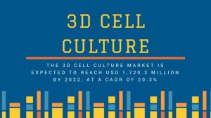 3D Cell Culture