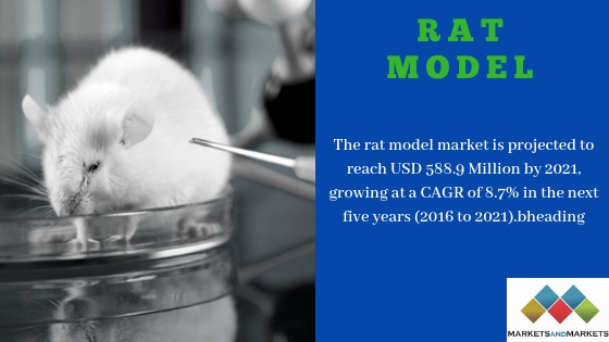 Rat Model Market