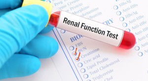 Kidney/Renal Function Test Market