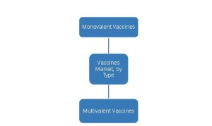 Vaccines Market