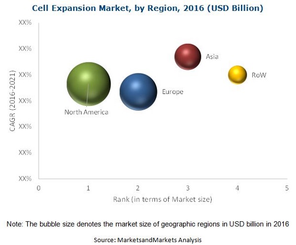 Cell Expansion Market