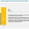 Cell based Assays Market