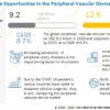 Peripheral Vascular Devices Market