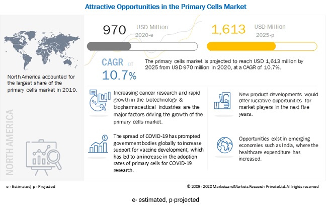 Primary Cells Market