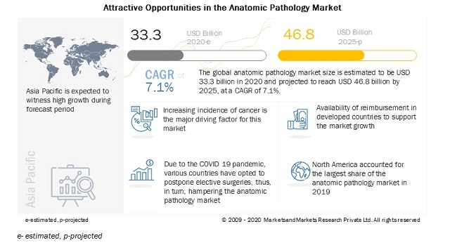 anatomic pathology market