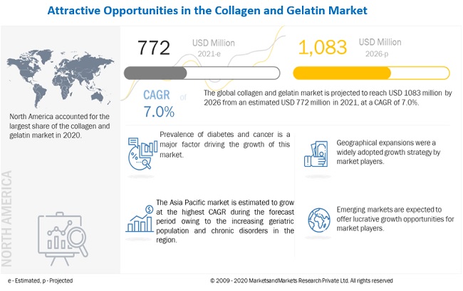 Collagen & Gelatin Market