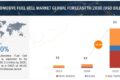 Automotive Fuel Cell Market