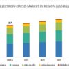 Electrophoresis Market