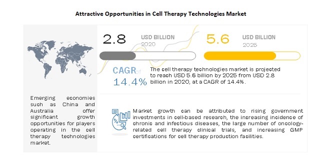 Cell Therapy Technologies Market Is Expanding At 14.4% With Increasing  Demand For Biotechnology Industry | MarketsandMarkets Blog