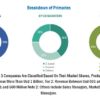 Automotive Bushing Market