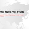 Live Cell Encapsulation Market