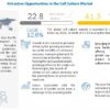 Cell Culture Market