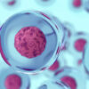 Synthetic Stem Cells Market