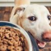 Pet Food Packaging Market