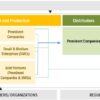 Patient-Derived Xenograft